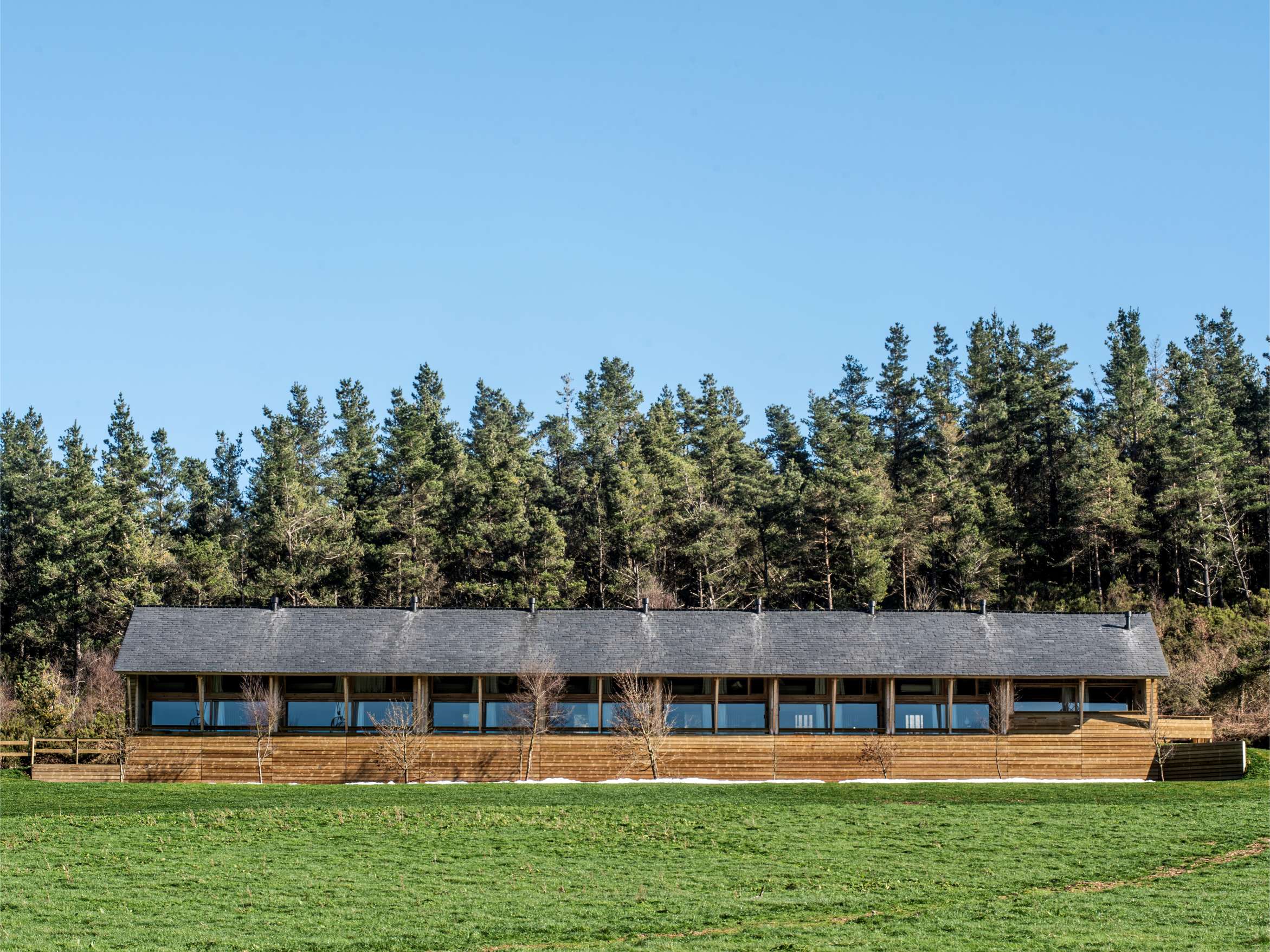 Imaxen principal candidatura