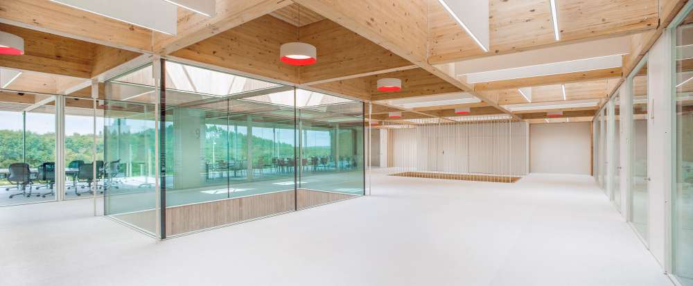 Imaxen principal candidatura