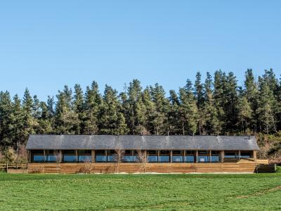 DA GANDERÍA INTENSIVA Á EXTENSIVA. UN CEBADEIRO DE GANDO QUE REXURDE